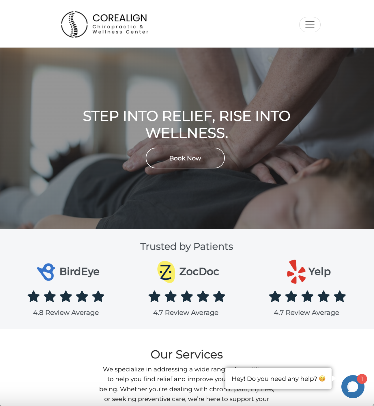 chiropractor website design preview